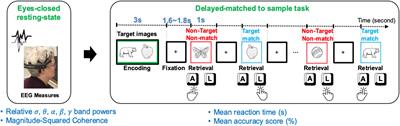 Gauging Working Memory Capacity From Differential Resting Brain Oscillations in Older Individuals With A Wearable Device